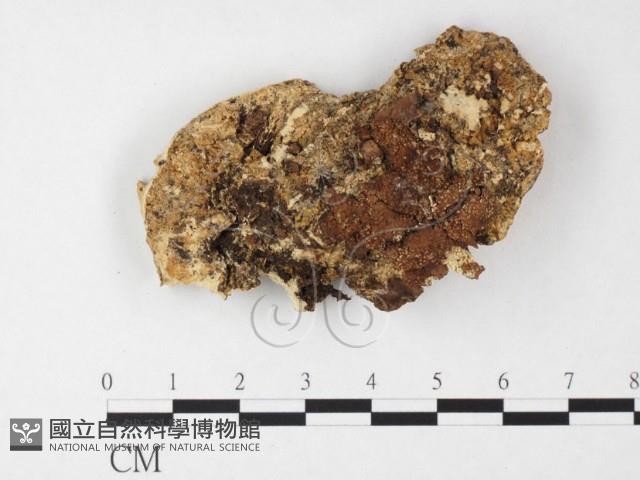 登錄號:F0026865藏品圖，第3張