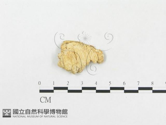 館號:F0000965藏品圖，第3張