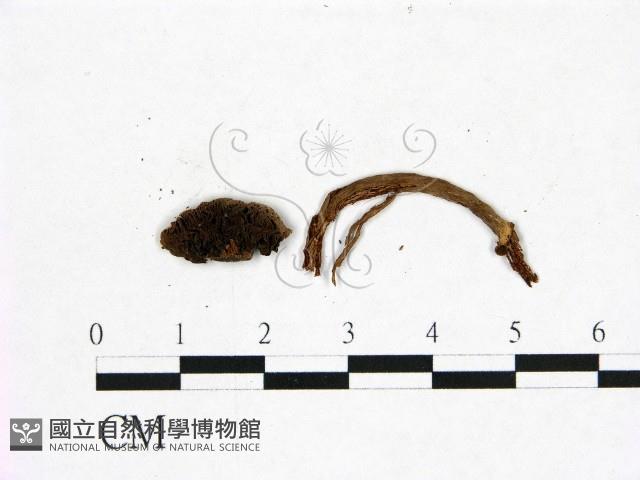 登錄號:F0022965藏品圖，第3張