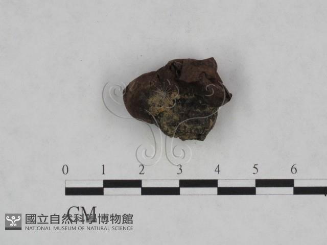 登錄號:F0023965藏品圖，第3張