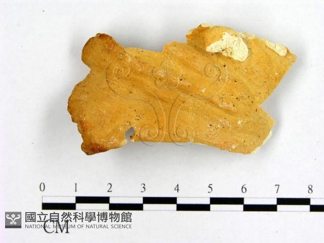 登錄號:F0006465藏品圖，第3張