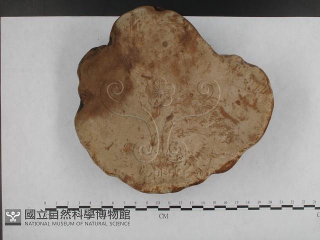 登錄號:F0014465藏品圖，第3張