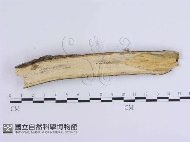 登錄號:F0002765藏品圖，第3張