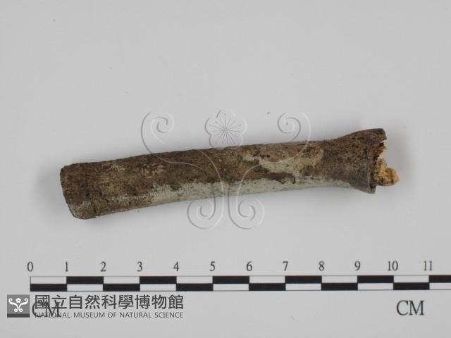 登錄號:F0007765藏品圖，第3張