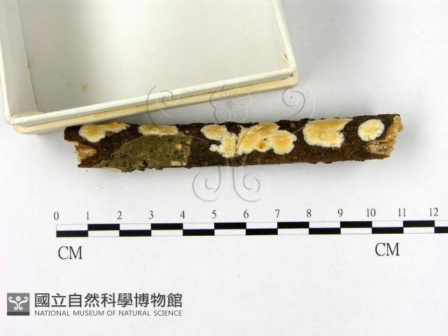 登錄號:F0009765藏品圖，第3張