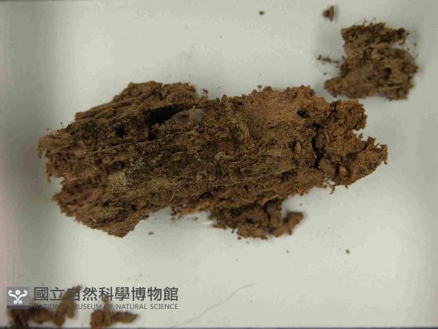 登錄號:F0021565藏品圖，第3張