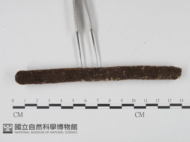 登錄號:F0004565藏品圖，第3張