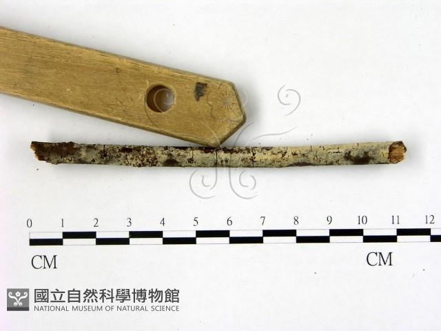 登錄號:F0022165藏品圖，第3張