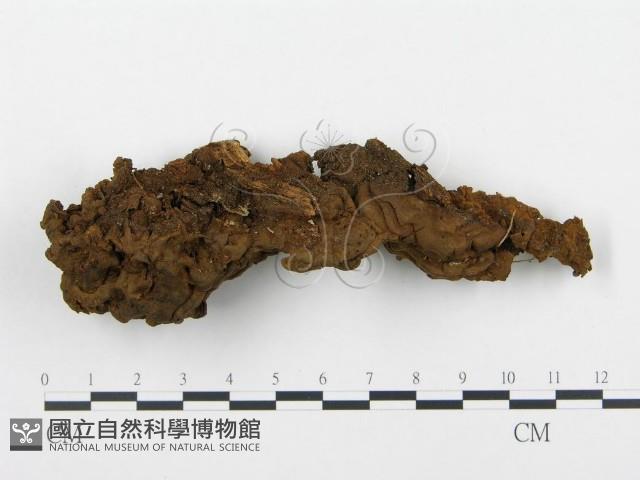 登錄號:F0015165藏品圖，第3張