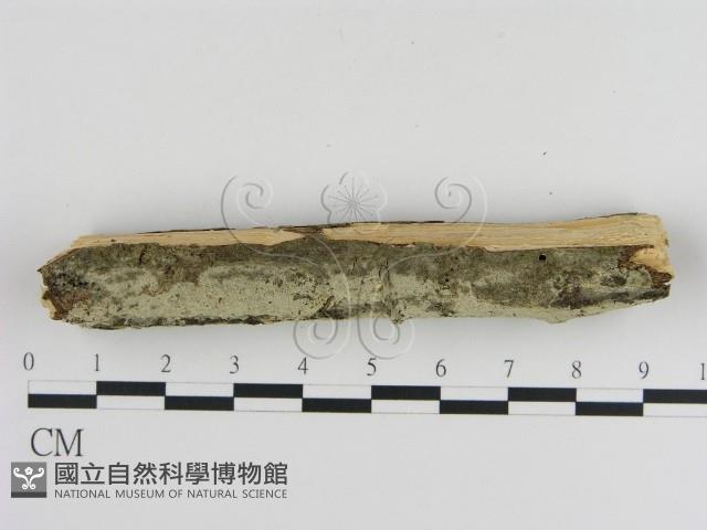 登錄號:F0000065藏品圖，第3張