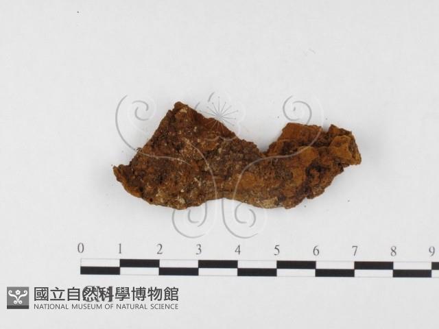 登錄號:F0026065藏品圖，第3張