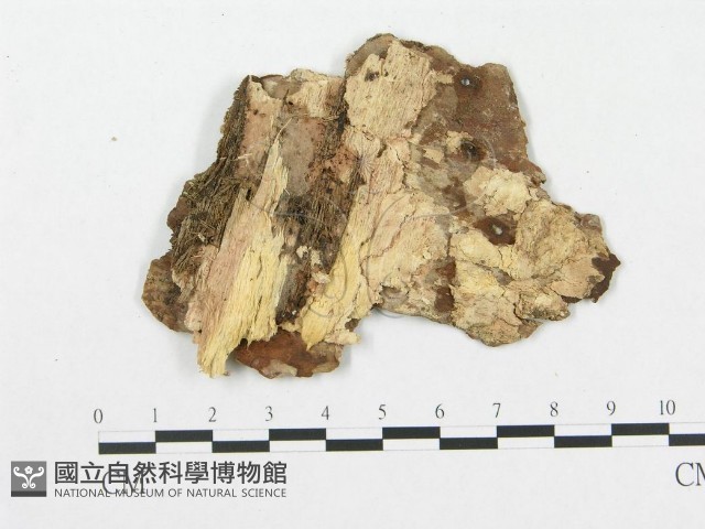 登錄號:F0007065藏品圖，第3張