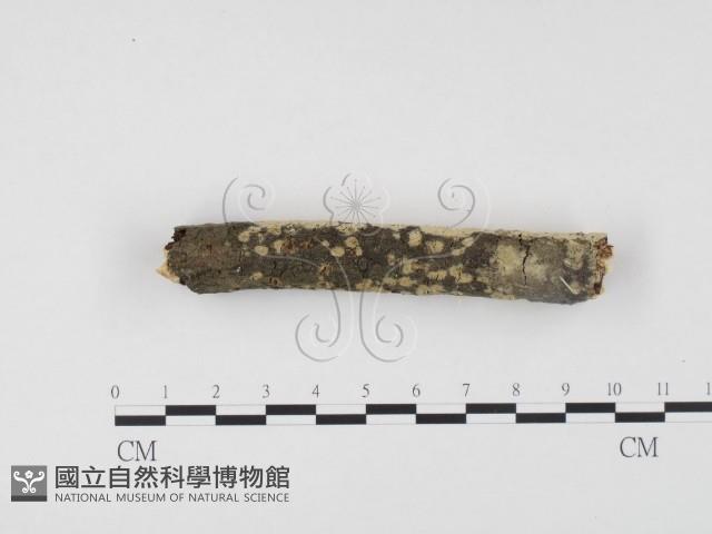 登錄號:F0001225藏品圖，第3張