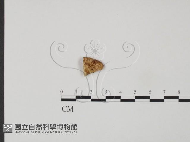 登錄號:F0007225藏品圖，第3張