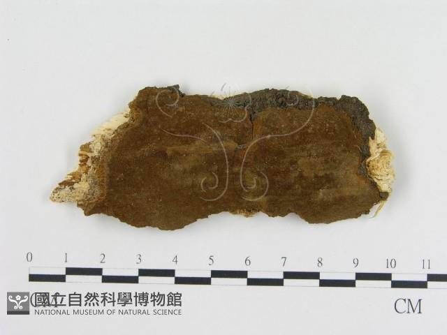 登錄號:F0017225藏品圖，第1張