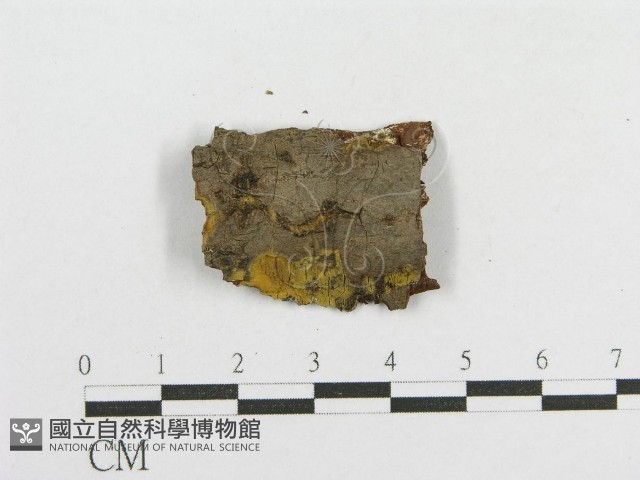 登錄號:F0016825藏品圖，第3張