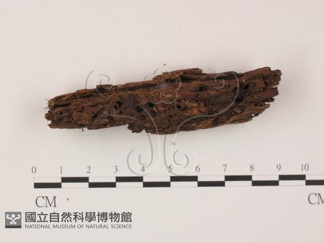 登錄號:F0009825藏品圖，第3張