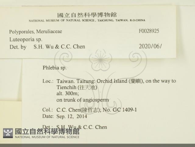 登錄號:F0028925藏品圖，第3張