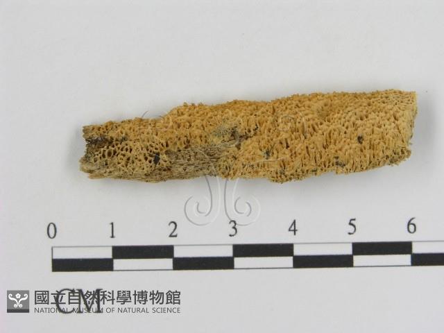 登錄號:F0006925藏品圖，第3張