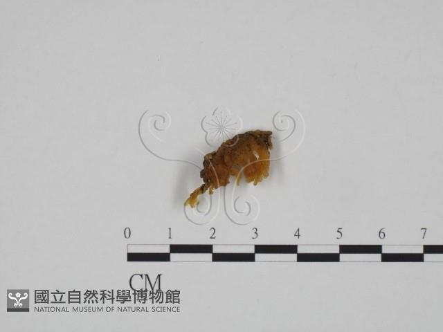 登錄號:F0024625藏品圖，第3張