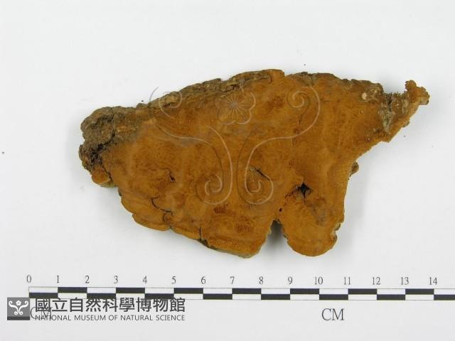 登錄號:F0004625藏品圖，第3張