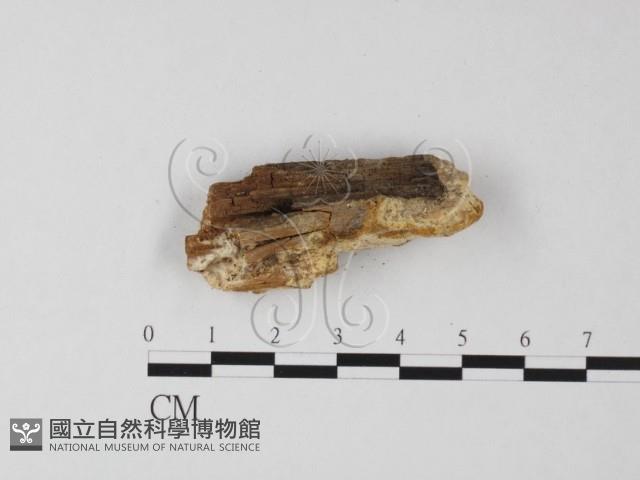 登錄號:F0025625藏品圖，第3張