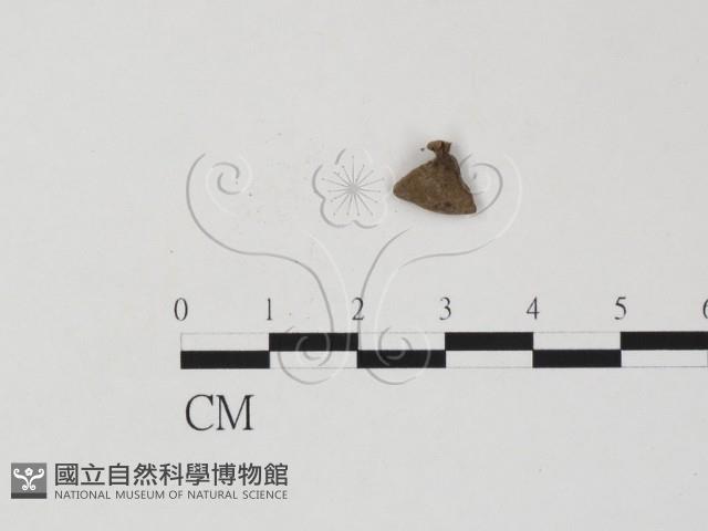 登錄號:F0019625藏品圖，第3張