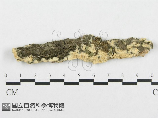 登錄號:F0017425藏品圖，第1張
