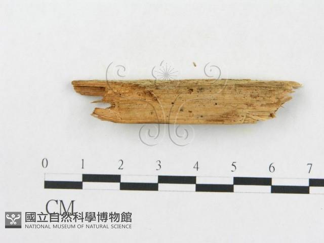 登錄號:F0016725藏品圖，第3張