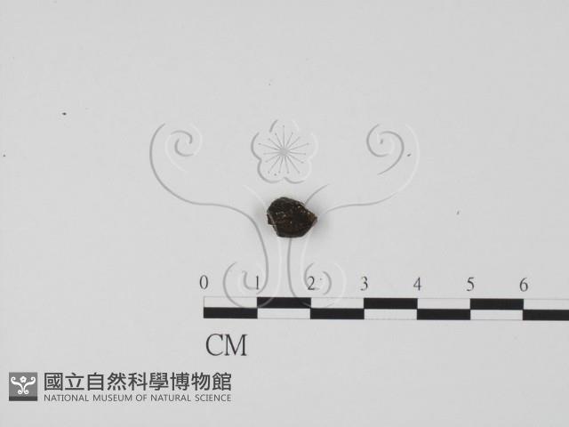 登錄號:F0005725藏品圖，第3張