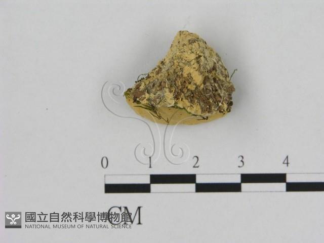 登錄號:F0006525藏品圖，第3張