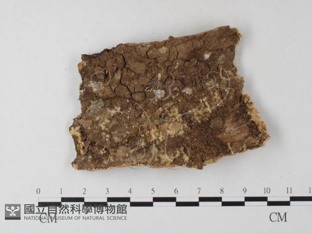 登錄號:F0004525藏品圖，第3張