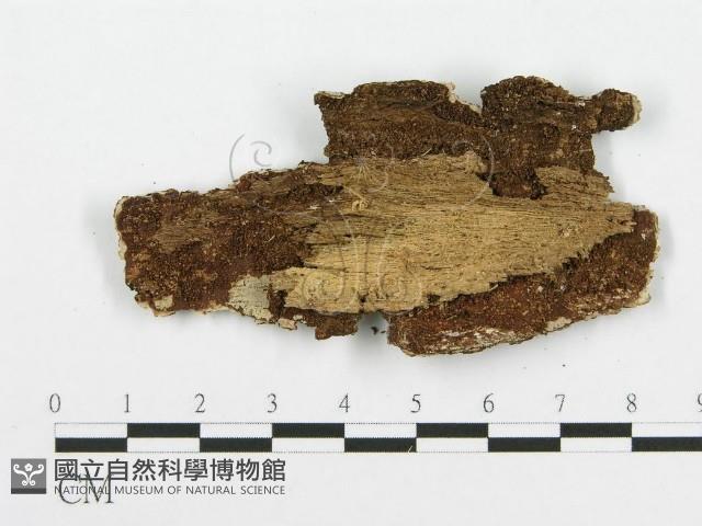 登錄號:F0015125藏品圖，第3張