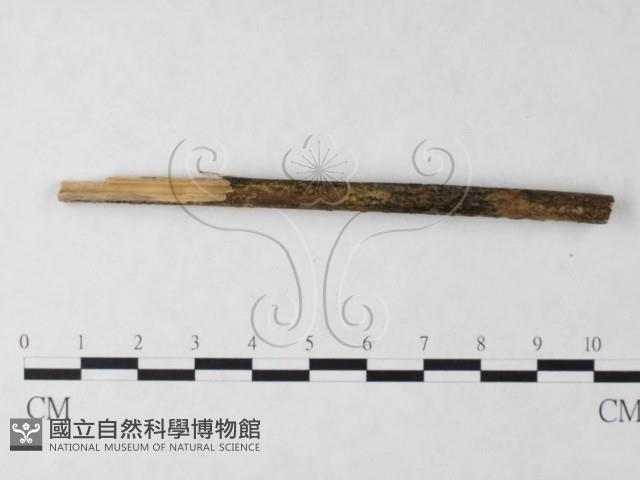 登錄號:F0024025藏品圖，第3張