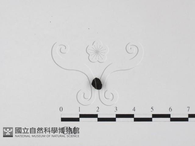 登錄號:F0011325藏品圖，第3張