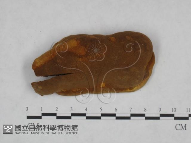 登錄號:F0024805藏品圖，第3張