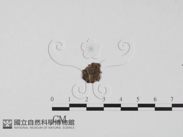 登錄號:F0001905藏品圖，第3張