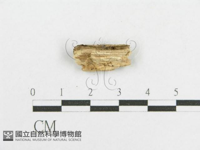 登錄號:F0002905藏品圖，第3張