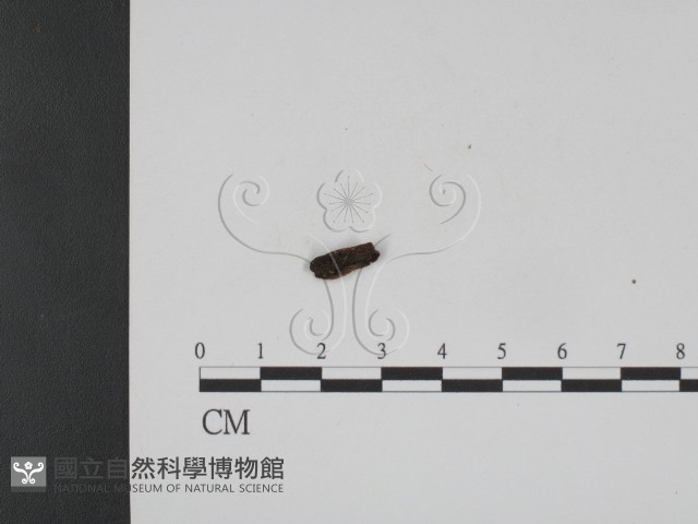 登錄號:F0007905藏品圖，第3張