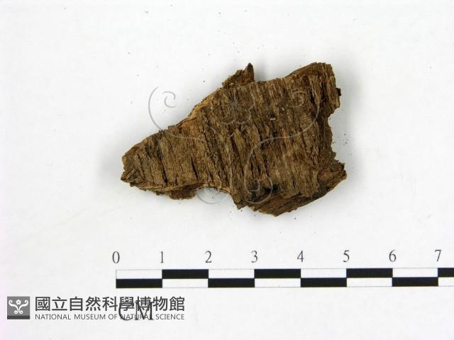 登錄號:F0010605藏品圖，第3張