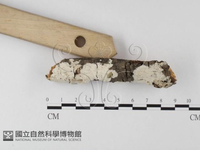 登錄號:F0025605藏品圖，第3張