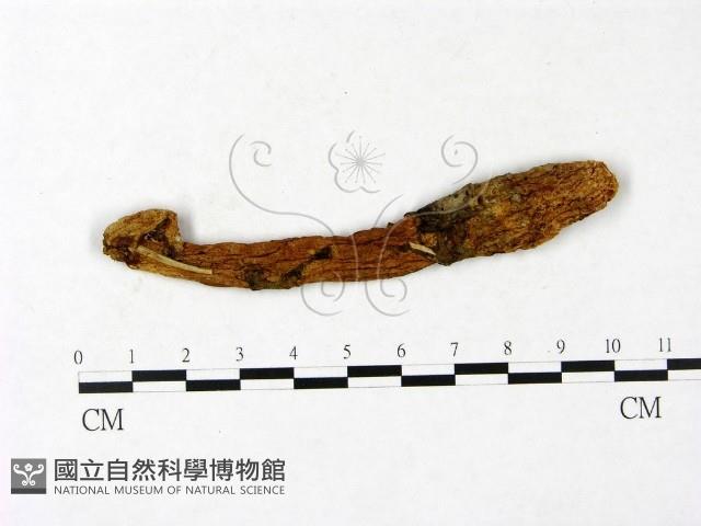登錄號:F0023405藏品圖，第3張