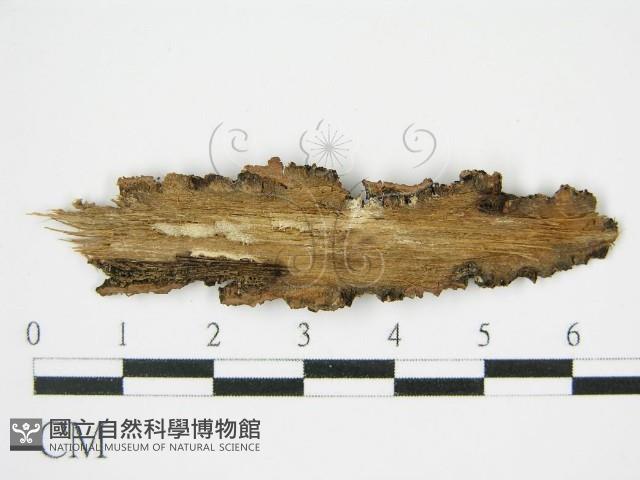 登錄號:F0014705藏品圖，第3張