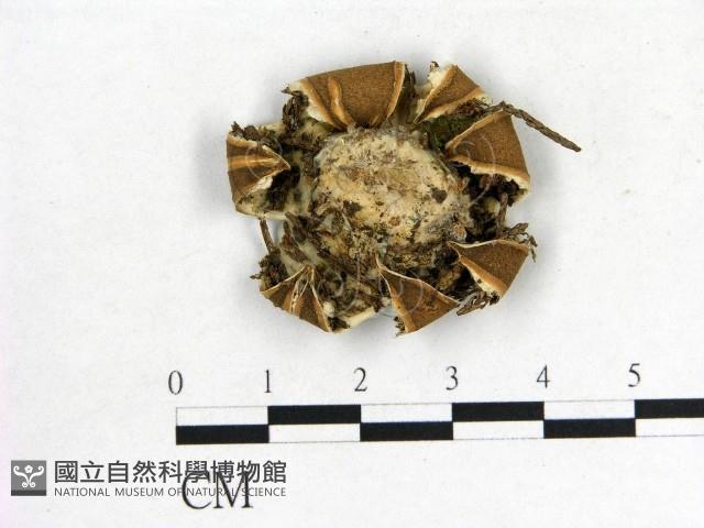 登錄號:F0002705藏品圖，第3張