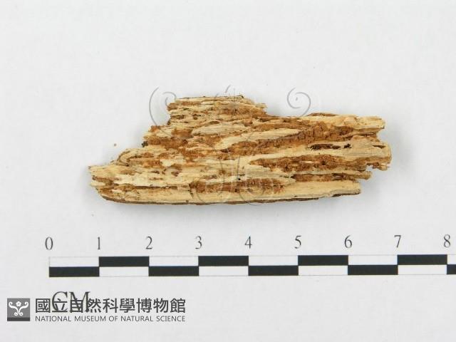 登錄號:F0002505藏品圖，第3張