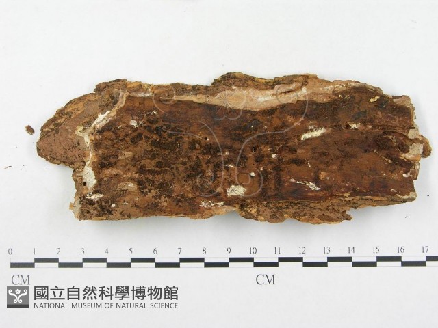 登錄號:F0003215藏品圖，第3張
