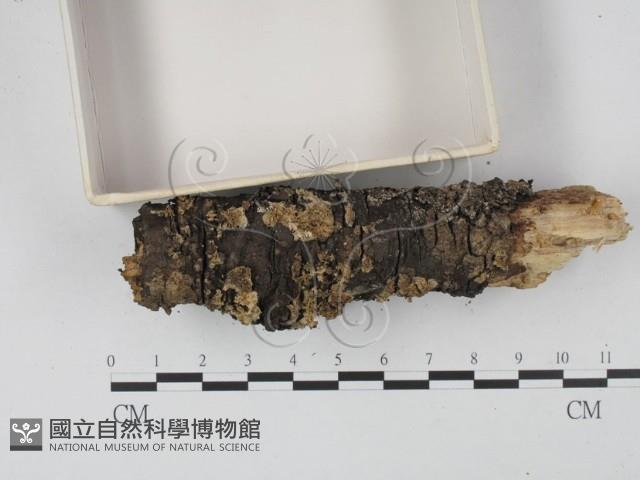登錄號:F0001915藏品圖，第3張