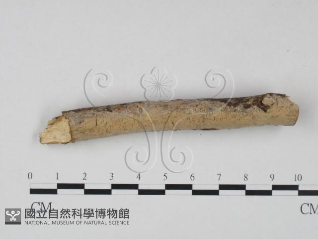 登錄號:F0023615藏品圖，第3張