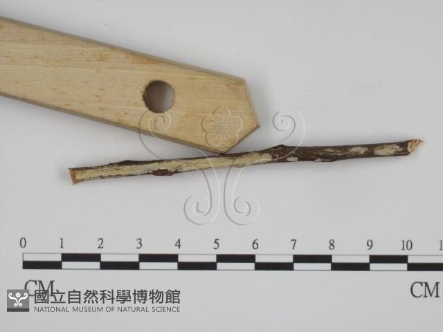 登錄號:F0008715藏品圖，第3張