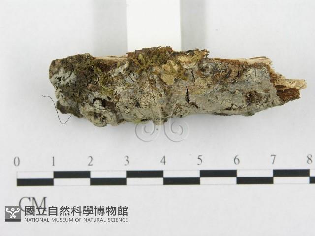 登錄號:F0002515藏品圖，第3張
